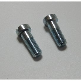 Lever Pivot Screws Sold as a Pair OEM No 29-8813 AM18/087 02-0510 60-0964 UK Made