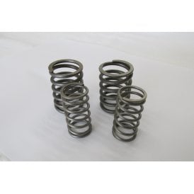 Triumph Valve Spring Set For T20